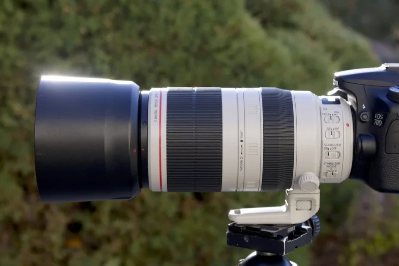 8 Best Zoom Lenses for Wildlife Photography in 2026